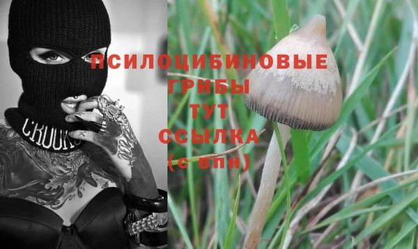 крисы Нефтекумск